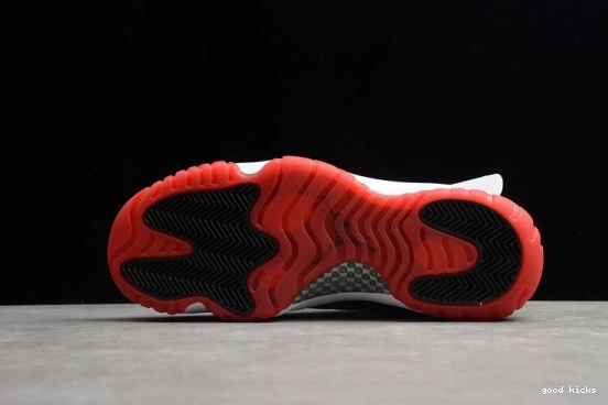 AV2187-160 Low Jordan Concord Retro 11  AV2187-160 Bred Air 0518